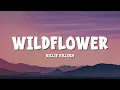 Download Lagu (1 Hour) Billie Eilish - WILDFLOWER (Lyrics)