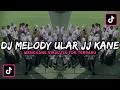 Download Lagu DJ MELODY ULAR JJ KANE TIKTOK