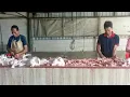 Lagu Di Penjuwal Ayam lve untuk menghibur