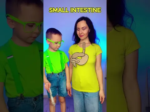 🤔 Can You Guess the Organ? 🫀 Human Body Challenge #kids #shorts