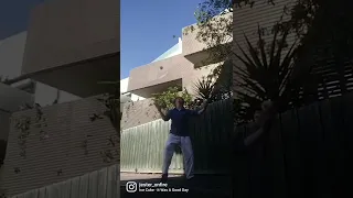                           دندنها