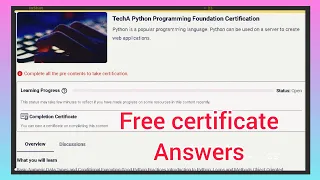 TechA Python programming Foundation Certificate Python Clean Coding answer from infosys springboard
