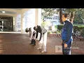 Xin Yi Squatting monkey basics 1 part