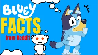 Bluey Facts from Reddit livestream
