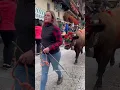 Lagu Cogne Devétéya | Nice Cows 🐮