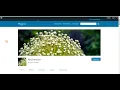 How To Easily Fix 301 And 404 Errors In Wordpress Using a Plugin Called Wordpress Redirection Plugin