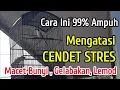 Download Lagu Tips Mengatasi CENDET STRES Yang Menyebabkan MACET BUNYI, LEMOD, GELABAKAN