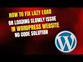 How To Fix Lazy Load or Loading Slowly Issue In WordPress Website No Code Solution