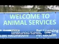 WATCH Lexington Animal Care Control warns of scam targeting pet owners