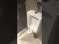 Fairchild Cinemas Queensgate 12 in Men s Restroom