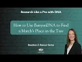 How to Use BanyanDNA to Find a Match s Place in the Tree