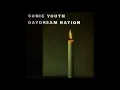 Sonic Youth * Teen Age Riot (1988) HQ