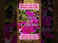 Download Lagu Quy luật cuộc đời: Bí quyết giúp bạn quản lý thời gian hiệu quả và sống cân bằng hơn