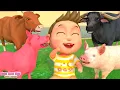 Lagu Tarian Hewan - Lagu Tarian Binatang | Bum Bum Kids Bahasa Indonesia - Lagu Anak Anak