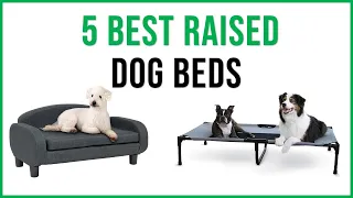 Best Raised Dog Beds 2023 Top 5 Raised Dog Beds Review