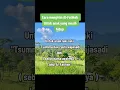 Download Lagu Cara mengirim Al fatihah untuk anak yang masih hidup. #doa #alfatihah #amalan #doaanak