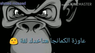 حالات واتس حمو بيكا   البانتى البامبى  دندنها