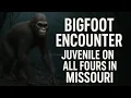 Download Lagu Brian’s Bigfoot Encounters in Missouri \u0026 Oklahoma | Cryptid Creature Running On All Fours