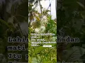 Download Lagu ingat,semua akan kita tinggalkan #dalamkata  #katakata #quotes