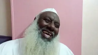 داوداو بي اللوري 