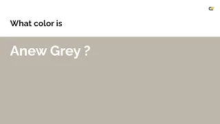 Anew Grey color hex color - Brown color