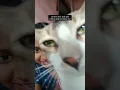 Download Lagu Beauty plus 💅#shorts #edit #beautyplus #srk#funnyvideos #relatable #reels #fyp #viral #shortsfeed