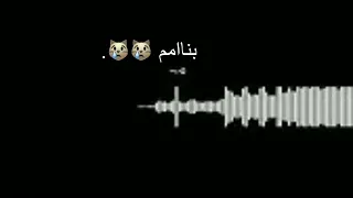 حبيبتك يوم ما تلاقينا أغاني قصيرة لحالات الواتساب 