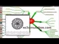 TCP Ip Protocol Projects using Ns3 Simulation Ns3 Projects