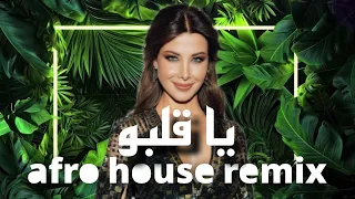                                        نانسي عجرم يا قلبو                    دندنها