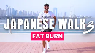 Japanese Walking Workout 3 | 30 min 4000 steps Walking Workout at home
