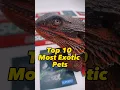 Download Lagu Exotic Animals / Top 10 Exotic Pets #pets #animals #shorts