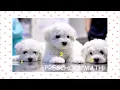 Preschool Math Made Fun and Easy