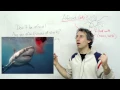 English Vocabulary - afraid afraid of scared of fear