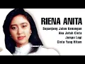 Download Lagu RIENA ANITA, The Very Best Of : Sepanjang Jalan Kenangan-Aku Jatuh Cinta-Jumpa Lagi-Cinta Yang Hitam