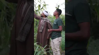 اضحك من قلبك مع اكبر تاجر لب في البلد 