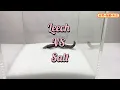 Download Lagu Leech VS Salt