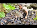 Download Lagu Harvest a Huge School of Giant Catfish, Carp and Snakehead by hand to Sell at the Market