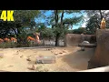 4K Walk in Massachusetts - Franklin Park Zoo