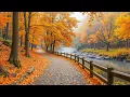 Download Lagu Mooie ontspannende muziek 🍁 Herfstmelodieën voor stressverlichting en genezing