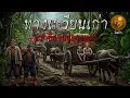Download Lagu ทางเกวียนเก่าจากอีสานสู่กรุงเทพ | จันทร์เจ้า