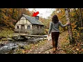 In-Laws Laughed as they Gave Her 3 Cabin as Inheritance Unaware of its Actual Hidden Value