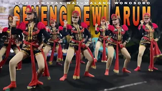lagu seneng dewi arum ndolalak dewi arum live jawaran watumalang wonosobo 