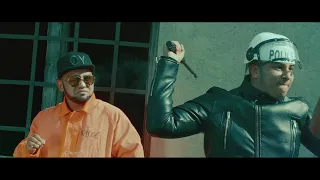 printu de la cluj pasare de noapte