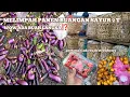 Download Lagu Mulung panen buangan sayur 2 T⁉️wow pertama x ada buah langka⁉️#mariles #mulung
