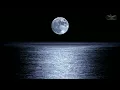 Brown Noise for Deep Sleep 🟤 Drown Out Noise & Sleep All Night