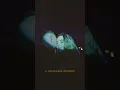 Download Lagu MYZA - Навсегда