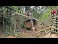 Download Lagu build a bigger and stronger bamboo house for the boy