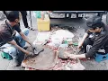Download Lagu IKAN PARI BANYAK BESAR GAIS// TAMU PAGI BINTULU