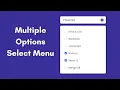 Multiple Options Select Menu in HTML CSS JavaScript