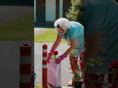 Her Neighbor Let the Dog Ruin Everything... So She Got Creative πΆπΉ